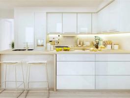 Perfect Quality Kitchen Cabinets Price-PR-AN006