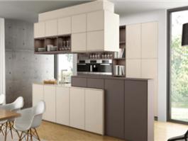 Custom kitchen cabinets kitchen appliance PR-L59