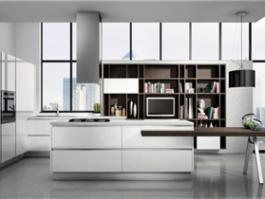 Custom kitchen cabinets Modern Kitchen Design PR-L60