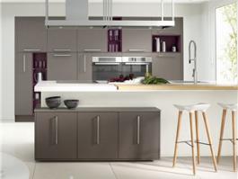 Matt Lacquer Finish Kitchen Cabinet PR-F063