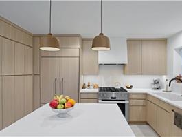 Luxury kitchen cabinet custom kitchen design kitchen PR-L94