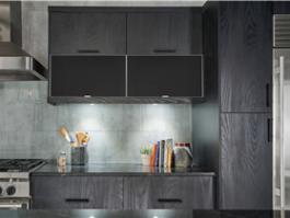 Customized Kitchen Cabinet Hagerfactory PR-CLC82