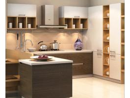 Fashion Shaker Kitchen Cabinet PR-DL64