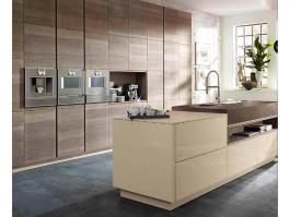 Fashion Shaker Kitchen Cabinet PR-DL66