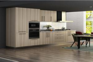 Shake Style Kitchen Cabinet PR-CLC111
