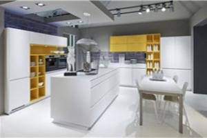 natural maple shaker kitchen cabinet PR-T34