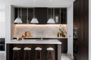 Wholesale Kitchen Cabinets Design Build Remodeling kitchen cabinet--PR-BK062