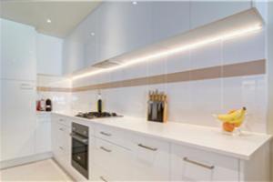 luxury white white kitchen cabinets PR-T53