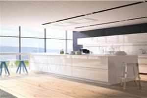 customized kitchen cabinets PR-T68