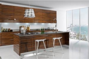 Australia Standard Custom Kitchen Joinery Pantry Simple Kitchen Design Pr-L109