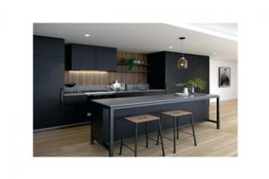 Design Ideas Kitchen Cabinets Modular Kitchen Designs Modern Kitchen Furniture Pr-L123