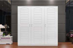 Modern Hot Wardrobe with Mirror Design PR-WD45