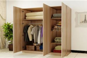 New Wardrobe Closet PR-WD51