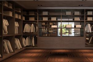 Modern Beautiful Closet PR-C28