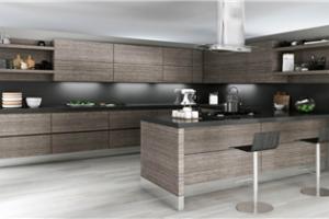 Pantry Cupboards Marble Top Kitchen Cabinet Modular Kitchen Designs Photos Pr-L210