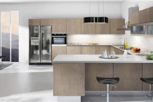 Factory Kitchen Cabinet Modular Kitchen Cupboard Kitchen Cabinets New Design Pr-L228